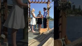 Megan Wedding Video 2