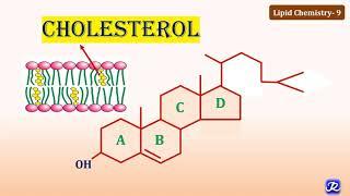 9: Cholesterol: Structure & Functions | Lipid Chemistry-9 | Biochemistry | N'JOY Biochemistry