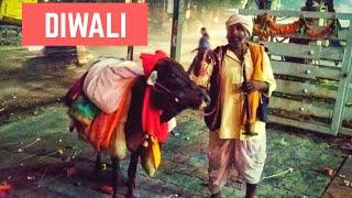 Diwali Celebrations | Pet Puja Food and Travel