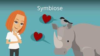 Symbiose - Biologie einfach erklärt mit Beispielen!