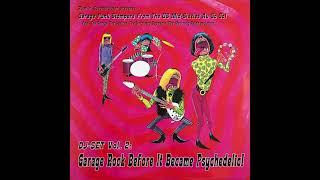 DJ-SET Vol. 2: Garage Rock Before It Became Psychedelic! Garage Punk Stompers from the US Mid-60s!