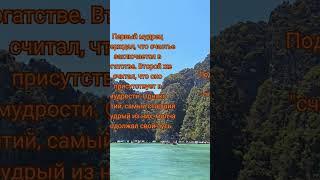 Семена Мудрости: Уроки из Мудрых Притч!  #МудрыеПритчи #КороткиеВидео #Мудрость