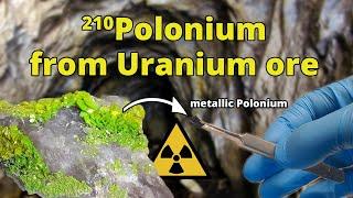 Polonium-210 from Uranium Ore - Nuclear Chemistry