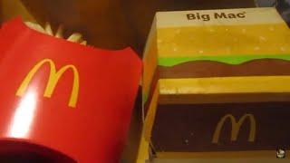 A Surprise McDonald's Big Mac Value Meal & A Thanksgiving Update #mcdonalds #surprise #bigmac #meal