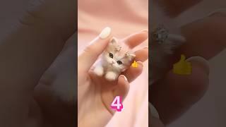 nic cat #new #viral #video