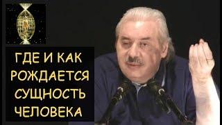  Н.Левашов: Где и как рождается Сущность (Душа) человека? Ответы на вопросы читателей