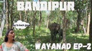 Places to visit in Wayanad | best place to stay | Day 1 in Wayanad | Close encounter with Elephants