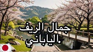 جولة في الريف الياباني حيث الهدوء والجمال (اليابان فاقت توقعاتي)