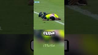 Пчелы против футбола