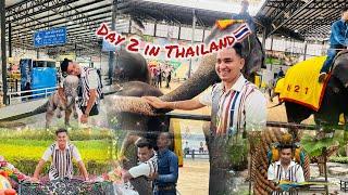 Elephant Show at Nong Nooch Garden pataya ,Thailand||#koushalmonga