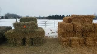 Geyer hay auction. Webberville mi