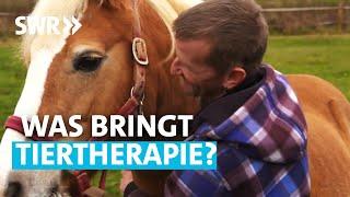So hilfreich sind Tiere in der Therapie | SWR Wissen