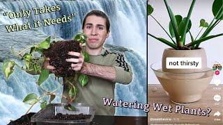 The Science Behind Bottom Watering | Actually Better or Tik Tok Banter?