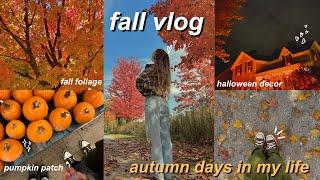 fall days in my life   pumpkin patch, cozy october days, concert, & halloween lights