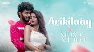 Arikilay Malayalam Romantic Song | Afzal Yusuff | Romantic Song