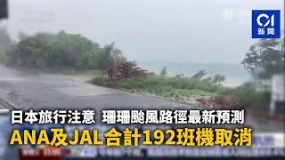 珊珊颱風逼近　日本鹿兒島發特別警報　ANA及JAL取消近300航班丨01新聞丨日本丨颱風丨珊珊丨旅行丨航班丨東京