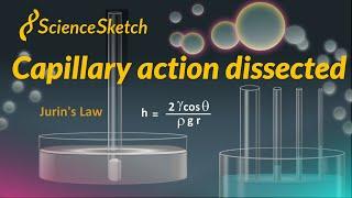 Capillary action dissected