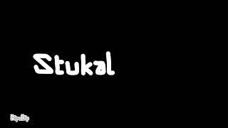 Stukal Kirill Inc./StudiCataz Inc. (2010)