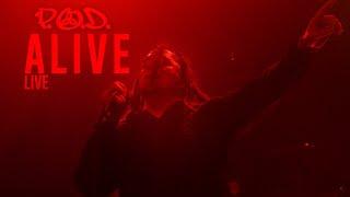 P.O.D. - Alive - Live 2021 (Satellite 20th Anniversary Tour)