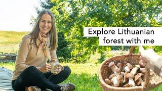 Mushroom foraging in Lithuanian forest