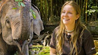 The Great Elephant Project - Volunteer Reviews | The Great Projects