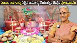 Anantha Lakshmi - Polala Amavasya Significance 2024 || Polala Amavasya Pooja Vidhanam || SumanTV