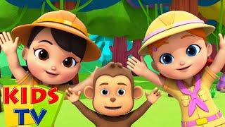 Chanson de zoo | Comptines bébé | Musique pour enfants | Kids Tv Française | Dessin animé