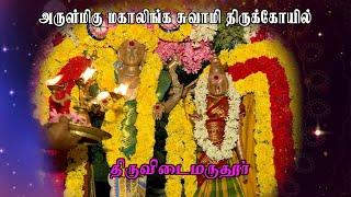 DD EPI 989 # Mahalingeswarar Temple # Thiruvidaimarudur