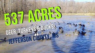 537+- acres for sale in the Mississippi Delta (The Martin)