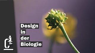 Designmerkmale in der Biologie | Dr. Reinhard Junker