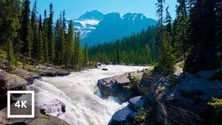 4K Mistaya River Rapids and Waterfall | Banff Canadian Rockies | Relaxing Nature Ambience