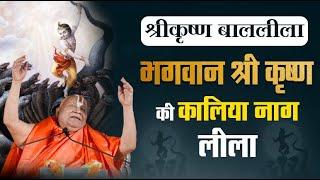 भगवान श्री कृष्ण की कालिया नाग लीला | श्रीकृष्ण बाललीला | Little Krishna #rambhadracharya #krishna