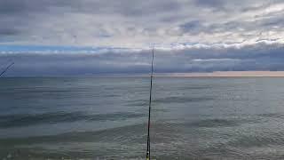 Pesca mare surfcasting - Senigallia(AN) - 4/5/2024.