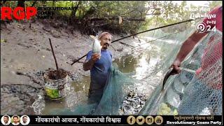 Goa's Traditional Futtan Fishing  with "All Round Nustekar" Fidelis Costa from Panchwadi.