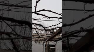Купила НОЖ САМУРА, ХОЧУ В ТЕПЛО