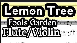 Lemon Tree Flute or Violin Sheet Music Backing Track Play Along Partitura