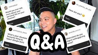 q&a  answering your questions  planty, personal, and everything in between