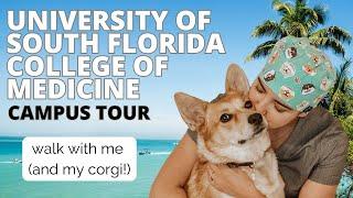 USF School of Medicine Campus Tour | Walk with Me & My Corgi in 4K | University of South Florida