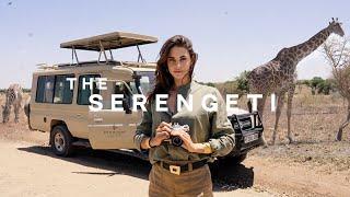 let’s go on my DREAM safari in tanzania   the nicest hotel in the serengeti