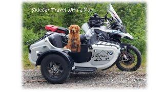 Sidecar Shakedown with a Pup: A Different Way to Travel