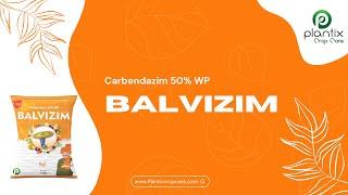 BALVIZIM (Carbendazim 50% WP)