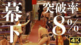 【大相撲 幕下】朝乃山が上がってきた。ひとつも負けられない力士達の記録【sumo】