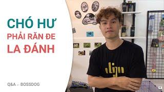 Hình phạt khi cún hư, tè bậy, cắn xé đồ... ???? | Q&A | Huấn luyện chó | BossDog