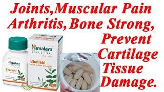 Himalaya Wellness Pure Herbs Shallaki Bone & Joint Wellness | Knee Pain,Arthritis,Cartilage Tissue