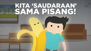 Kita ‘Saudaraan’ Sama Pisang! Gak Percaya?