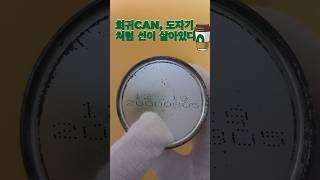 한국의 희귀CAN, 도자기처럼 선이 살아있다.