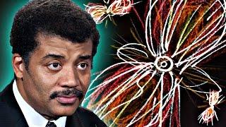 A Brief History of Everything, feat. Neil deGrasse Tyson