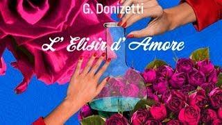 Donizetti's L'Elisir d'Amore (Seton Hall /university Classical Concert Series)