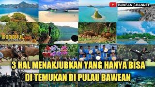 3 HAL MENAKJUBKAN YANG HANYA BISA DI TEMUKAN DI PULAU BAWEAN