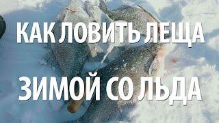 ЛЕЩ ЗИМОЙ со ЛЬДА. ОТЛИЧНАЯ ПОДЛЕДНАЯ РЫБАЛКА на ЛЕЩА